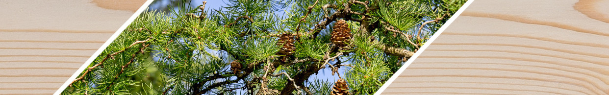 Holzleiste nach Maß