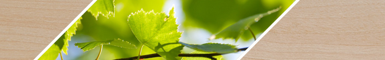 Wooden strip made to measure